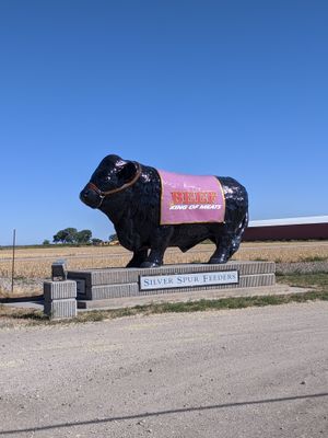 a large statue of a black bull with a pink blanket on it that reads 'BEEF KING OF MEATS' sits on a pedestal that says Silver Spur Feeders, against an empty crop field